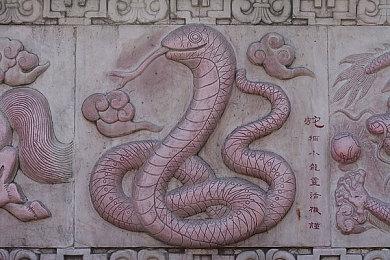 「光与弦的共鸣」《戴森球计划》音乐会纪录片公开